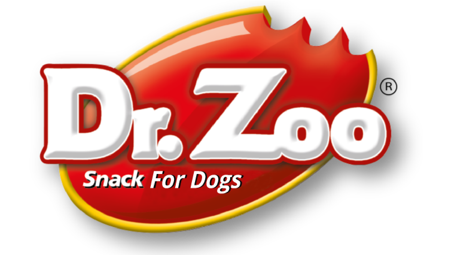 Client_ Dr.Zoo Logo-01-01 (1)